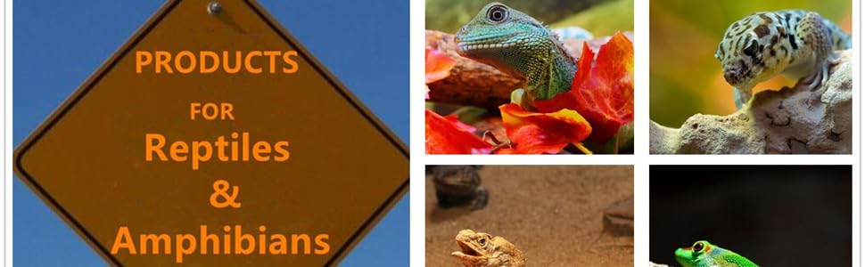 REPTILE HEAT LAMP BULBS  reptile heat lamp heat lamp bulbs 