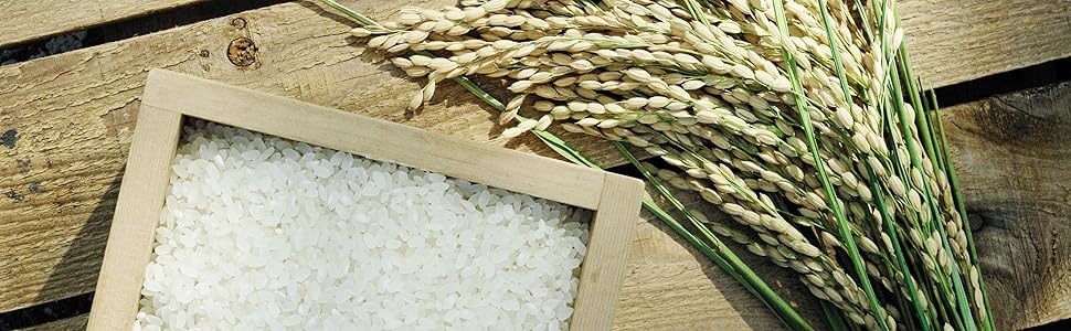 石川県奥能登産コシヒカリ玄米新米　30kg 奥能登産こしひかり 玄米30kg