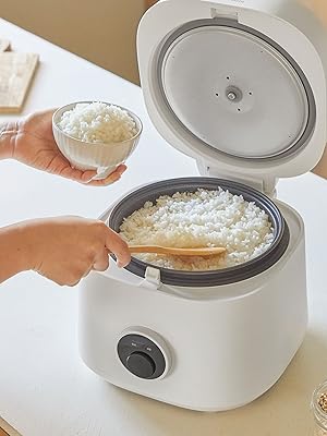 cuchen rice cooker
