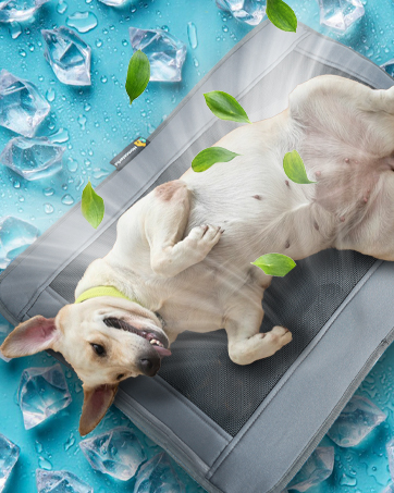 Pet Cooling Mat