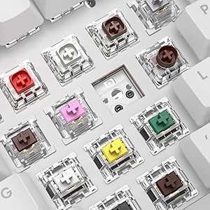 Amazon.co.jp: Pulsar Gaming Gears PCMK メカニカル ゲーミング