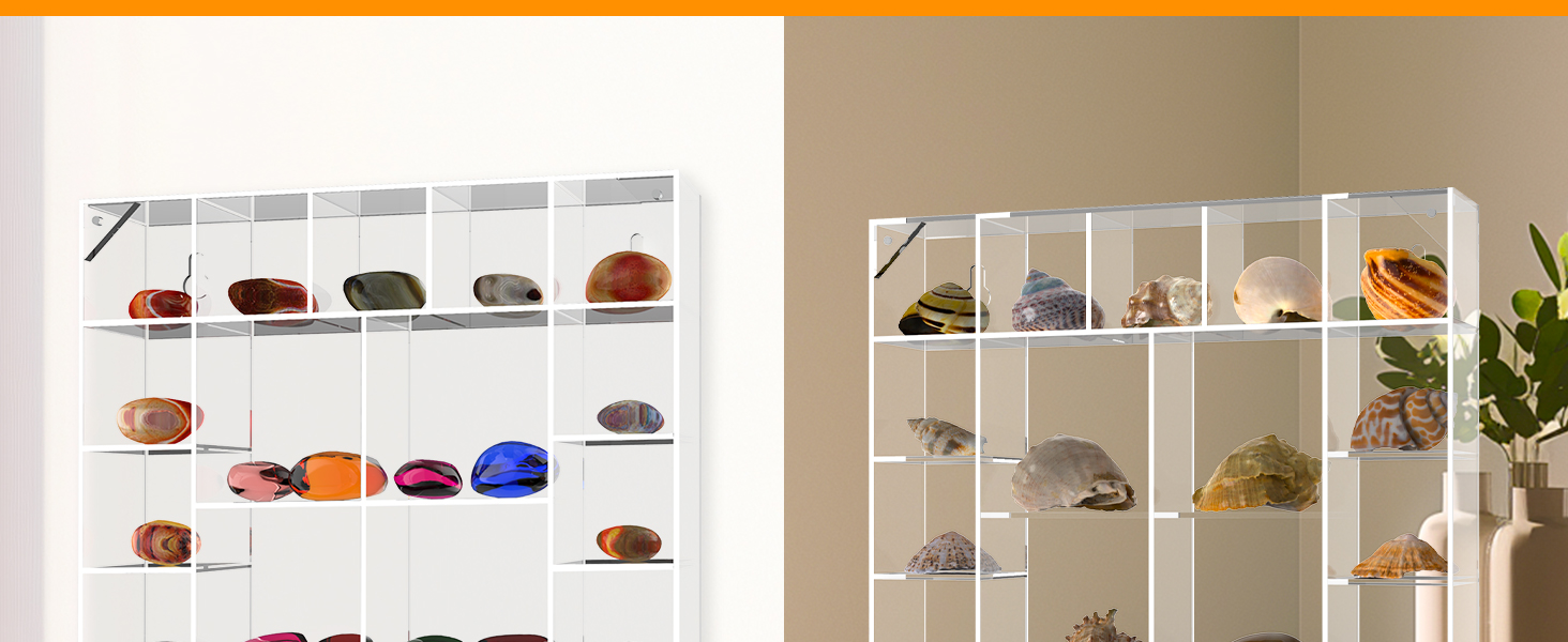 Seashell Display Box Large (20 Grids), Acrylic