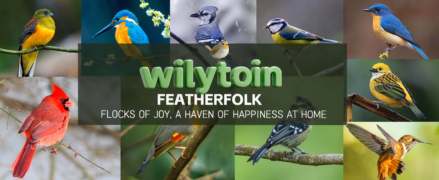 bird feeders for outdoors