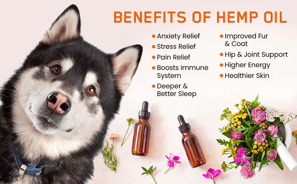 hemp oil for dogs uk