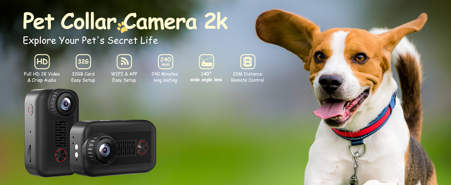 cat collar monitor camera