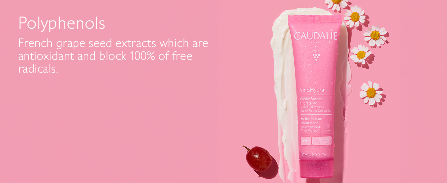 VinoHydra Sorbet Cream Moisturizer - 60 mL