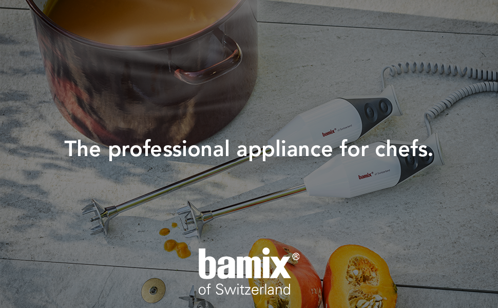 Amazon.com: Bamix G200 Gastro Pro-2 Professional Immersion Hand