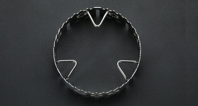 Stainless Steel Windshield Ring