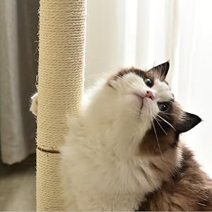 OSJ キャットタワー パイプ ペット用品 頑丈 据え置き マット付き Amazon | OSJ キャットタワー ネコタワー パイプ ペット用品