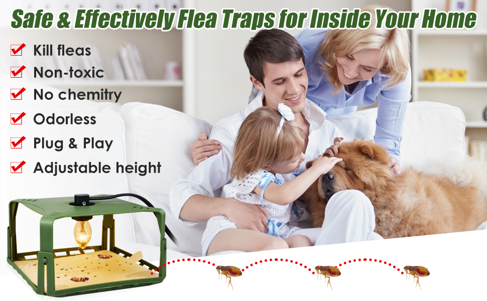 2 Pack Flea Traps for Inside Your Home with 4 Sticky Pads