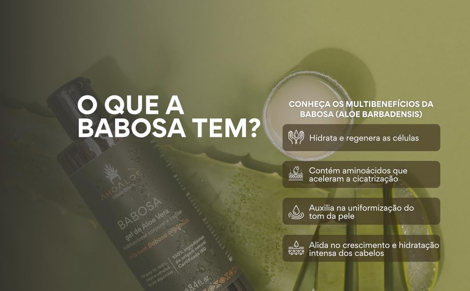 Benefícios da babosa