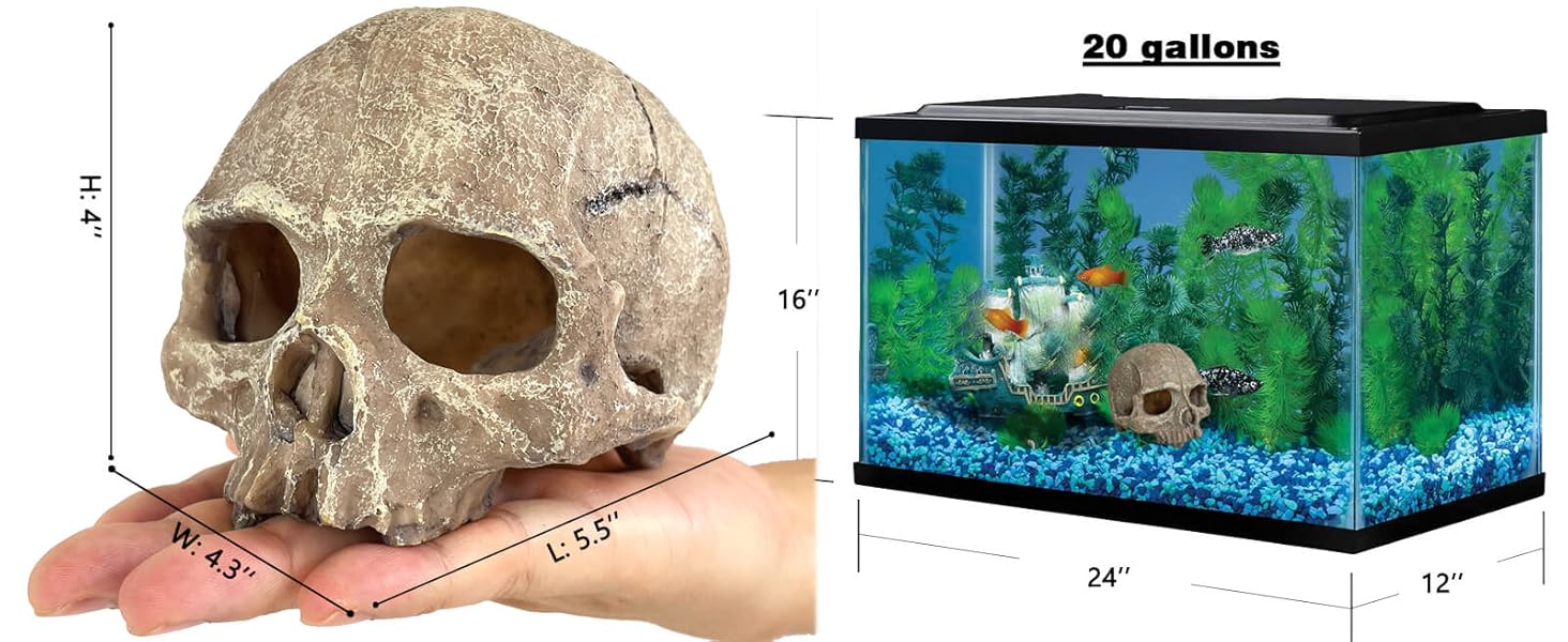 small fish tank skull decorations