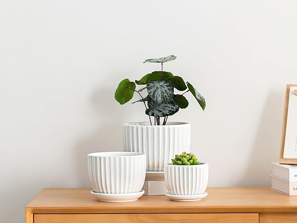 Amazon.com: Ton Sin 陶瓷植物花盆- 4/5/6 英吋(約10.6 公分
