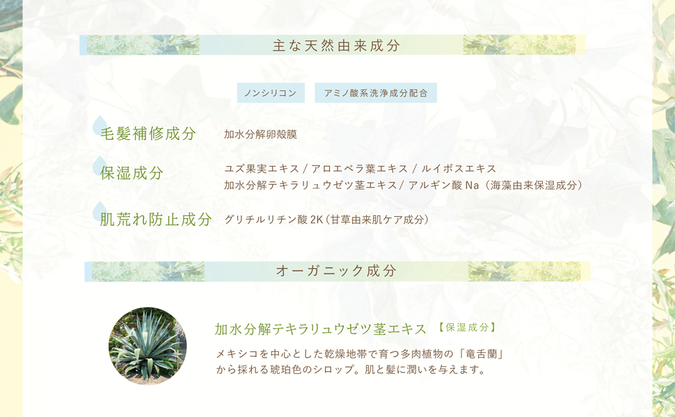 ナチュルルケアシャンプー3_改