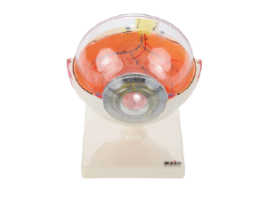 Small manufacture image 3