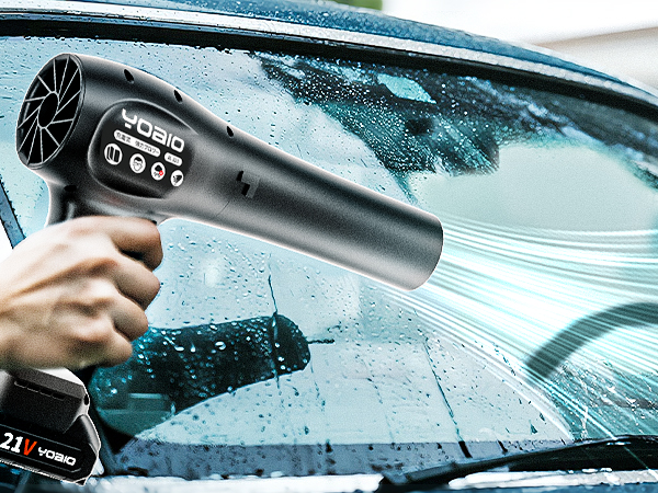 ロスタさん専用 Amazon.co.jp: 6段風速ロック ノズル付きブロワー 洗車 エア