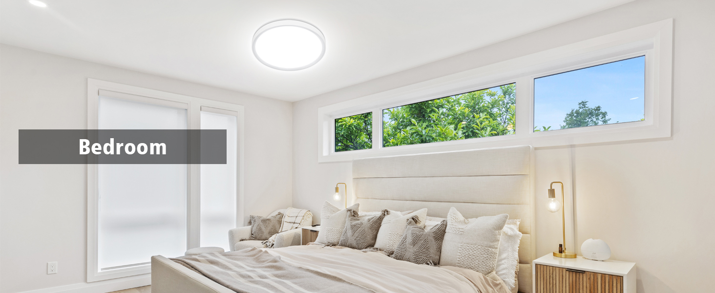 LED Ceiling Light