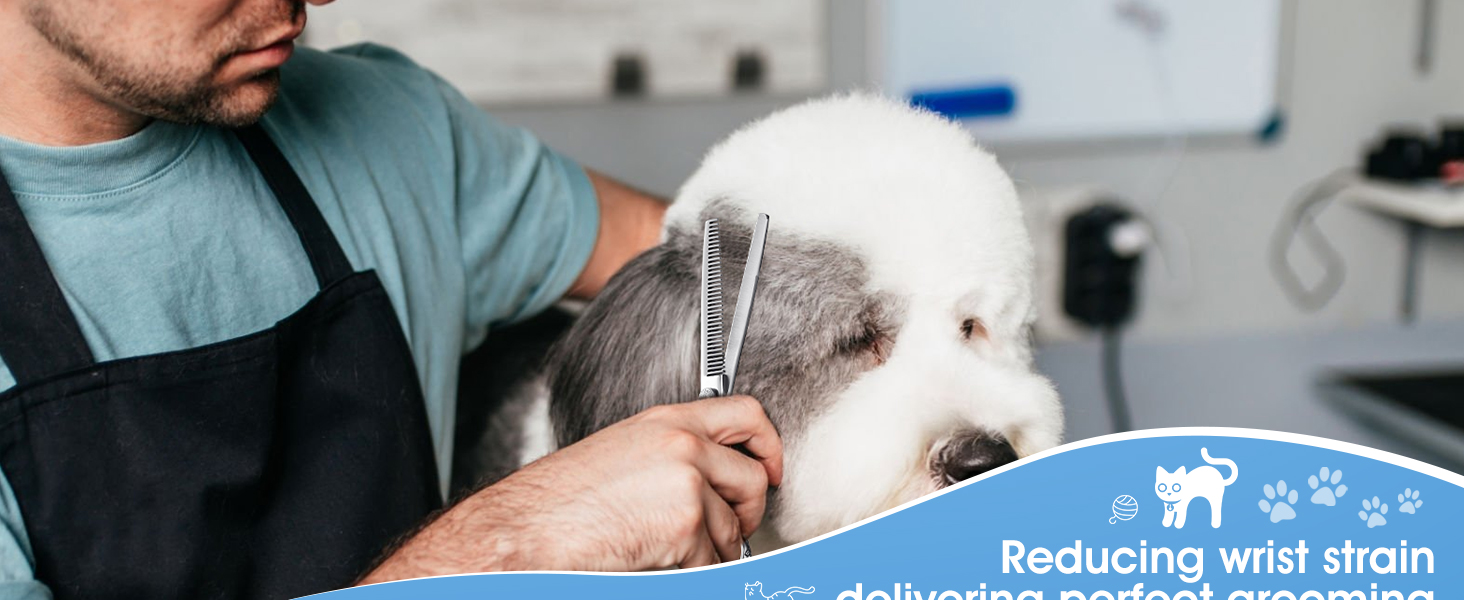 JASON Dog Grooming Scissors Kit, Professional 6 in 1 Dog