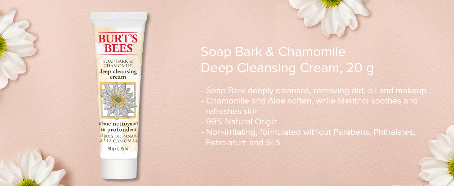 Burt's Bees Essential Gift Set, Lip Balm, Hand Salve, Body Lotion, Foot