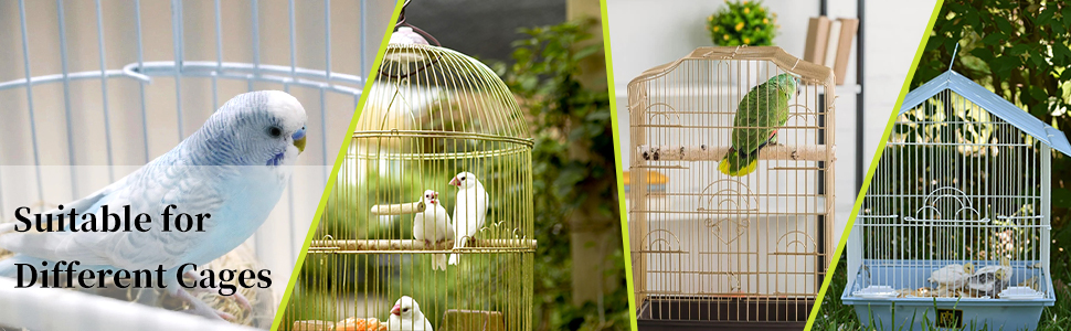 ein Vogelkäfig und ein Vogel darin