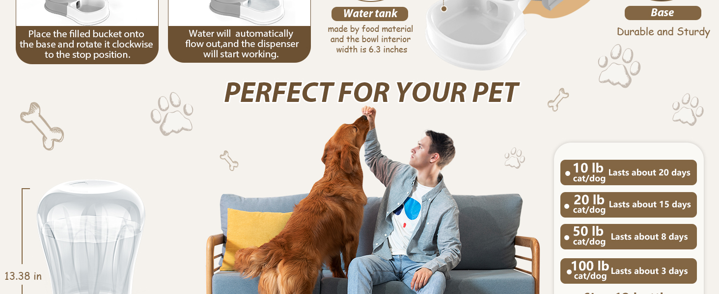 cat water fountain