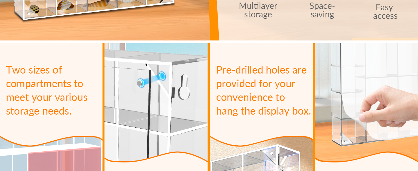 Seashell Display Box Large (20 Grids), Acrylic