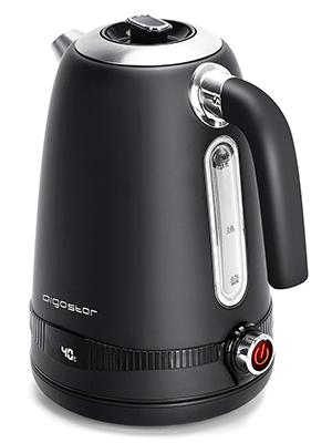 Wasserkocher mit Temperatureinstellung