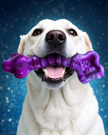 dog toys for aggressive chewers