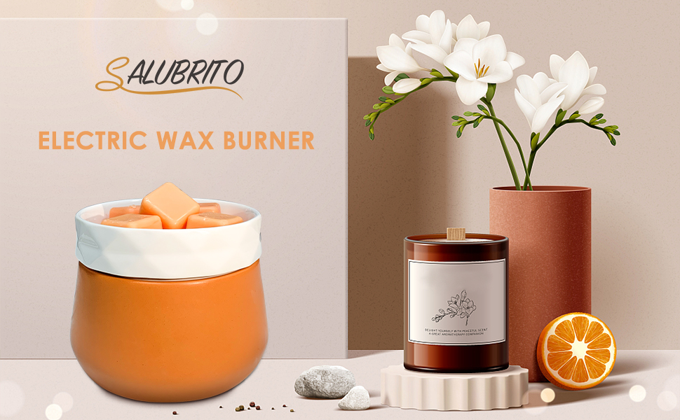 SALUBRITO Electric Wax Burner Ceramic, 3 in 1 Wax Melt Burner for
