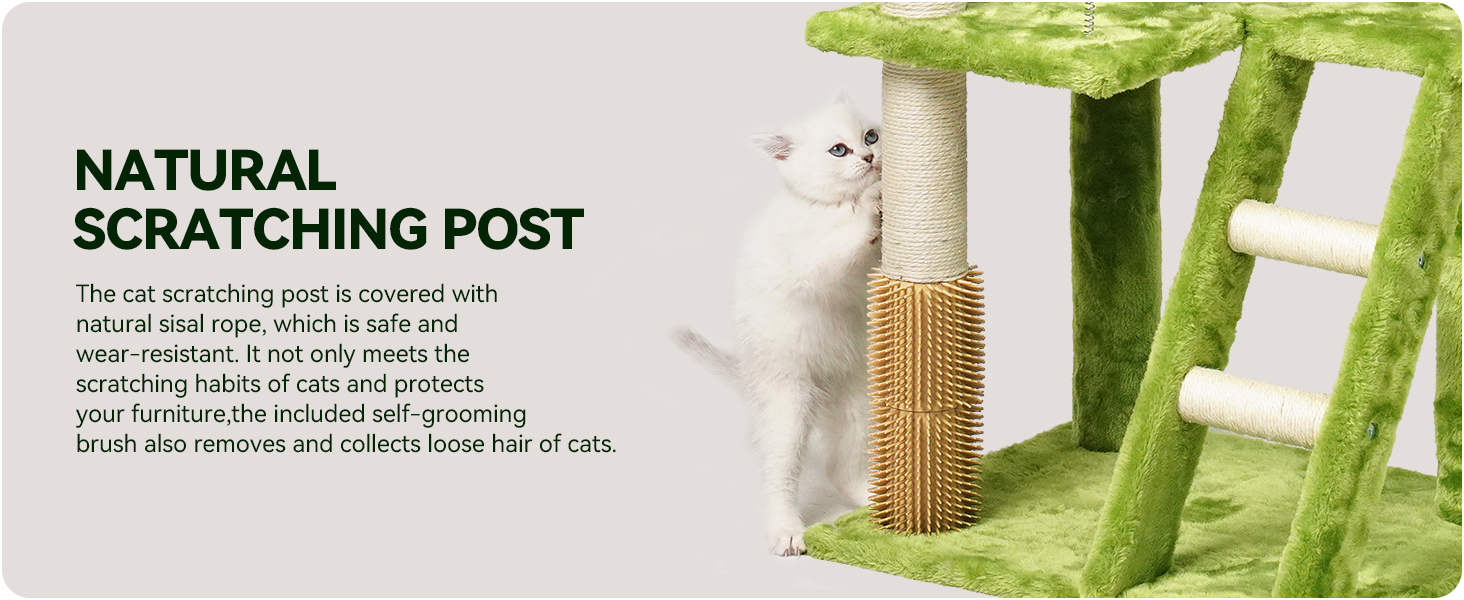 Natural Scratching Post