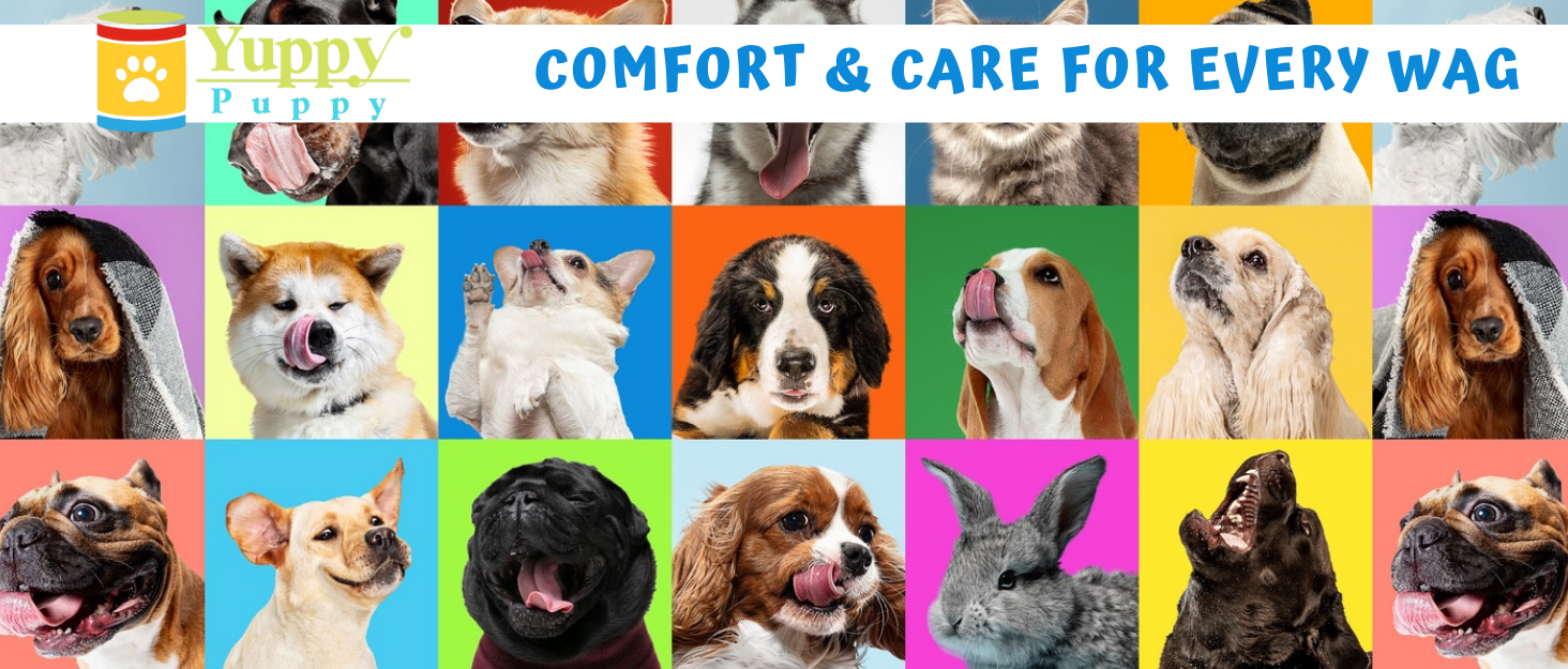 Pet accessories  Dog accessories  Cat accessories  Dog grooming