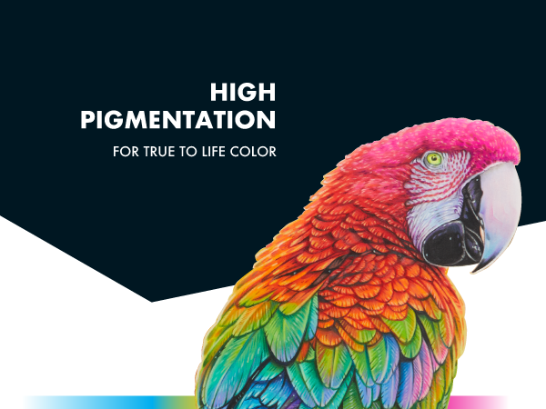 prismacolor high pigmentation parrot colored pencils true color adult kids gift holiday artist