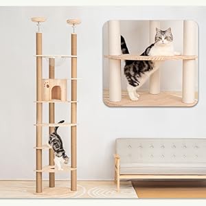 Amazon | PETTIFUL 【新モデル登場お試し価格】 キャットタワー