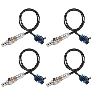 oxygen sensor