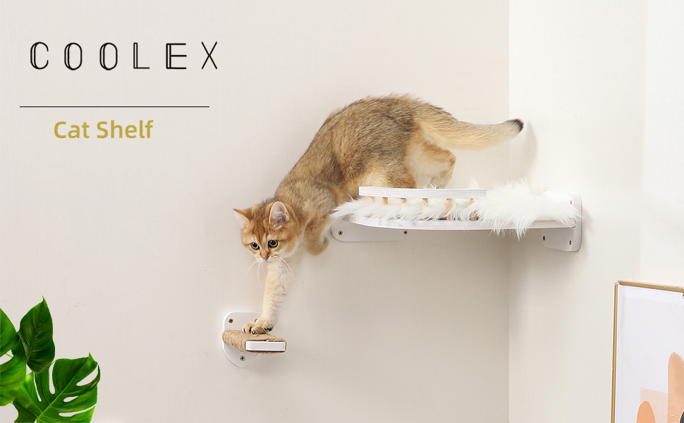 cat shelves