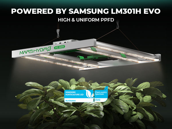 Mars Hydro 2 in 1 Design FC3000 EVO 300W, Samsung LM301H EVO