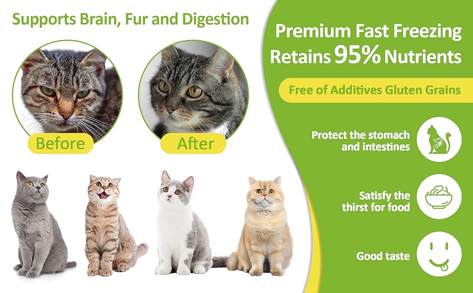 Cats Supports Stomach and Intestines