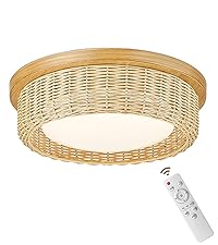 zeyu 12.6 Inch LED Boho Ceiling Light with Remote, 12W