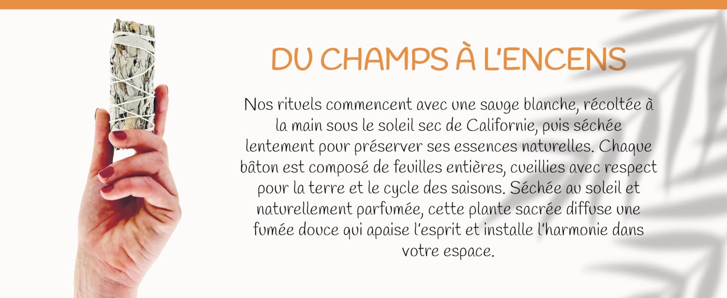 image de contenu aplus