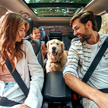 Nature's Jeannie. Family in a car going on a roadtrip.