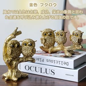 Amazon.co.jp: フクロウ 置物 開運 ふくろう 風水 縁起物 梟 白