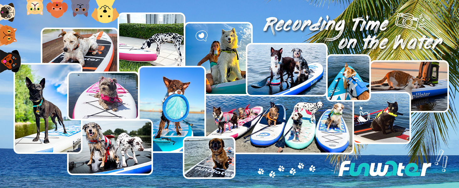 paddleboards