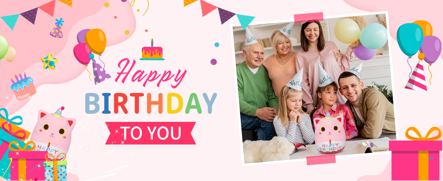 Cute Birthday Plush Cat Plush Pink Cat Stuffed Animal Birthday Gift for Kids