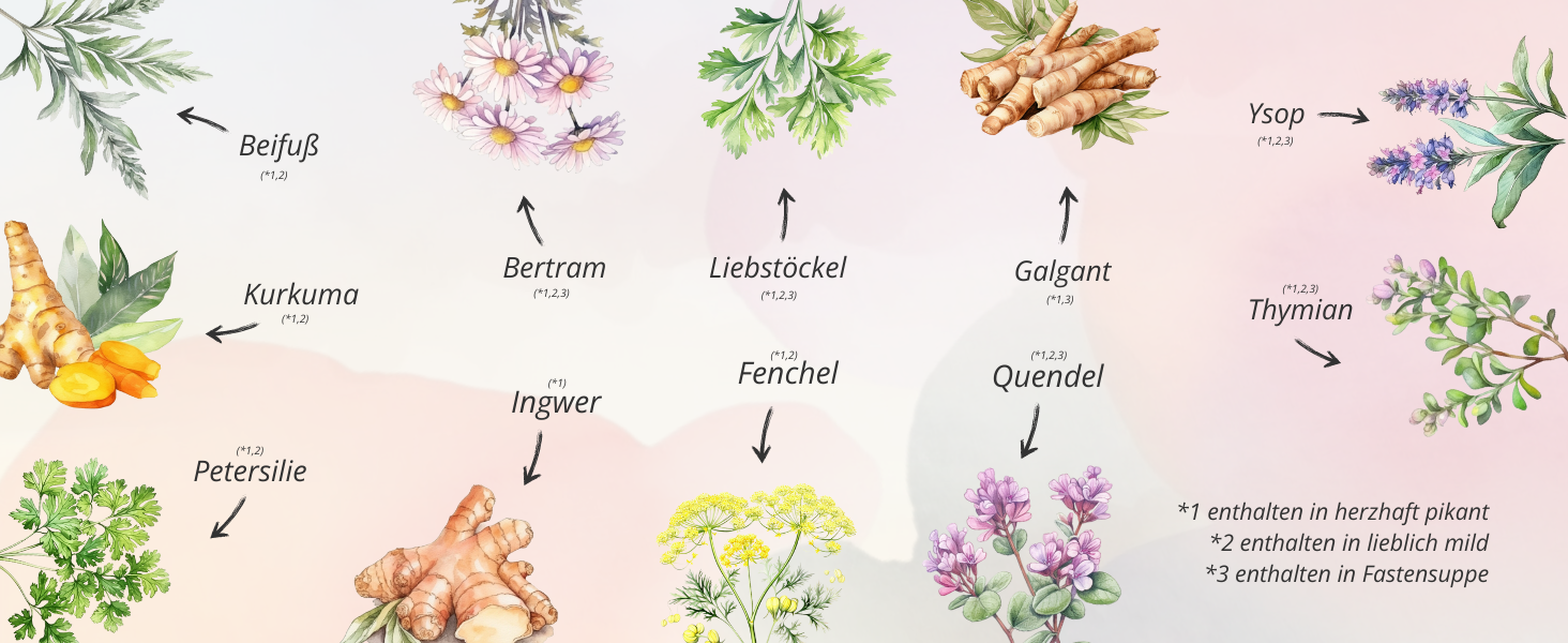 Hildegard von Bingen Suppe