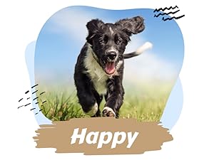 dog food supplements