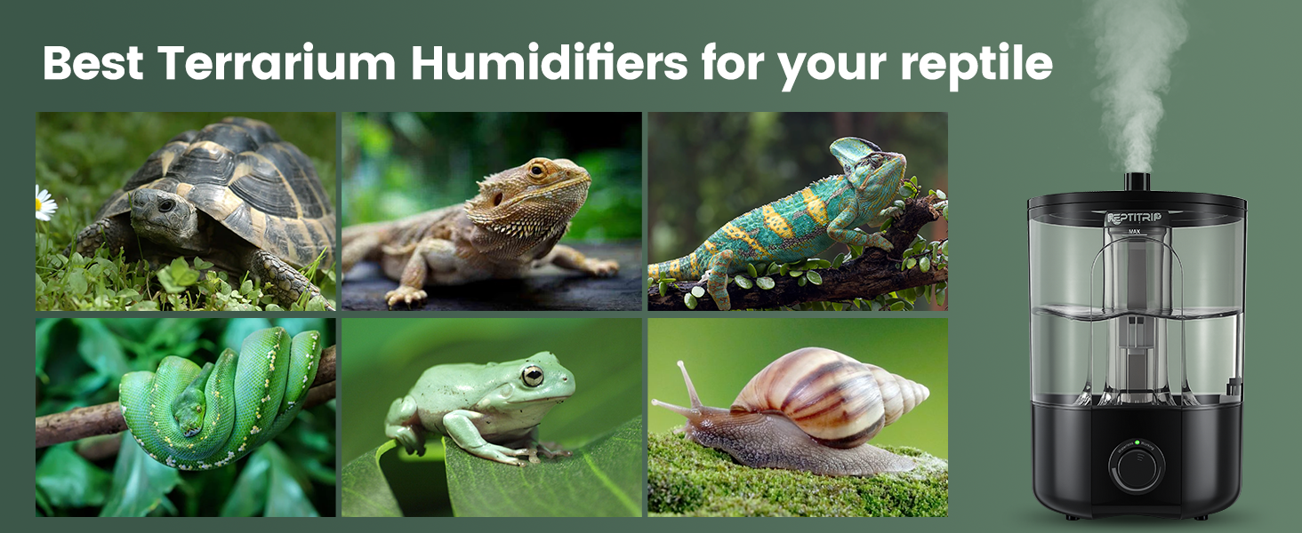 Reptile Fogger