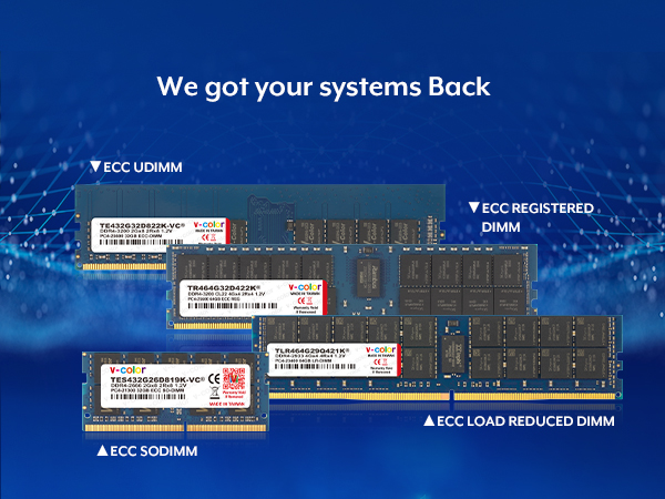 V-Color DDR4 64GB (2x32GB) 3200MHz (PC4-25600) Server Memory