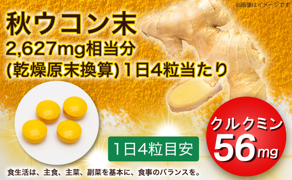 ウコン粒 サプリメント 75日分 300粒 秋ウコンエキス クルクミン