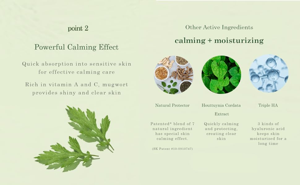 Mugwort Eye Gel Patch 04