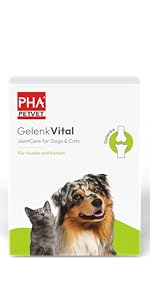 Gelenk Vital als Gelenkschutz für Hund und Katze